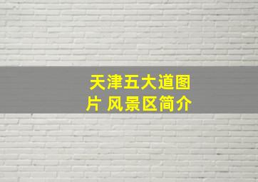 天津五大道图片 风景区简介